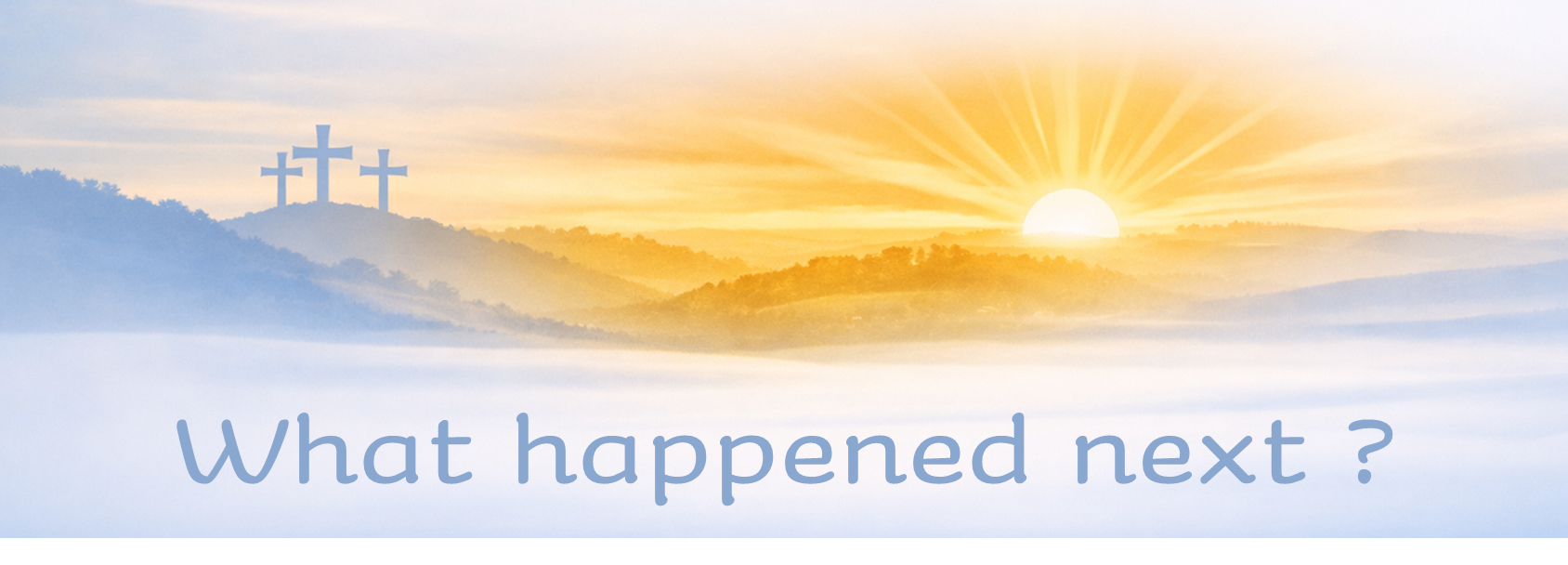 Wide homepage banner